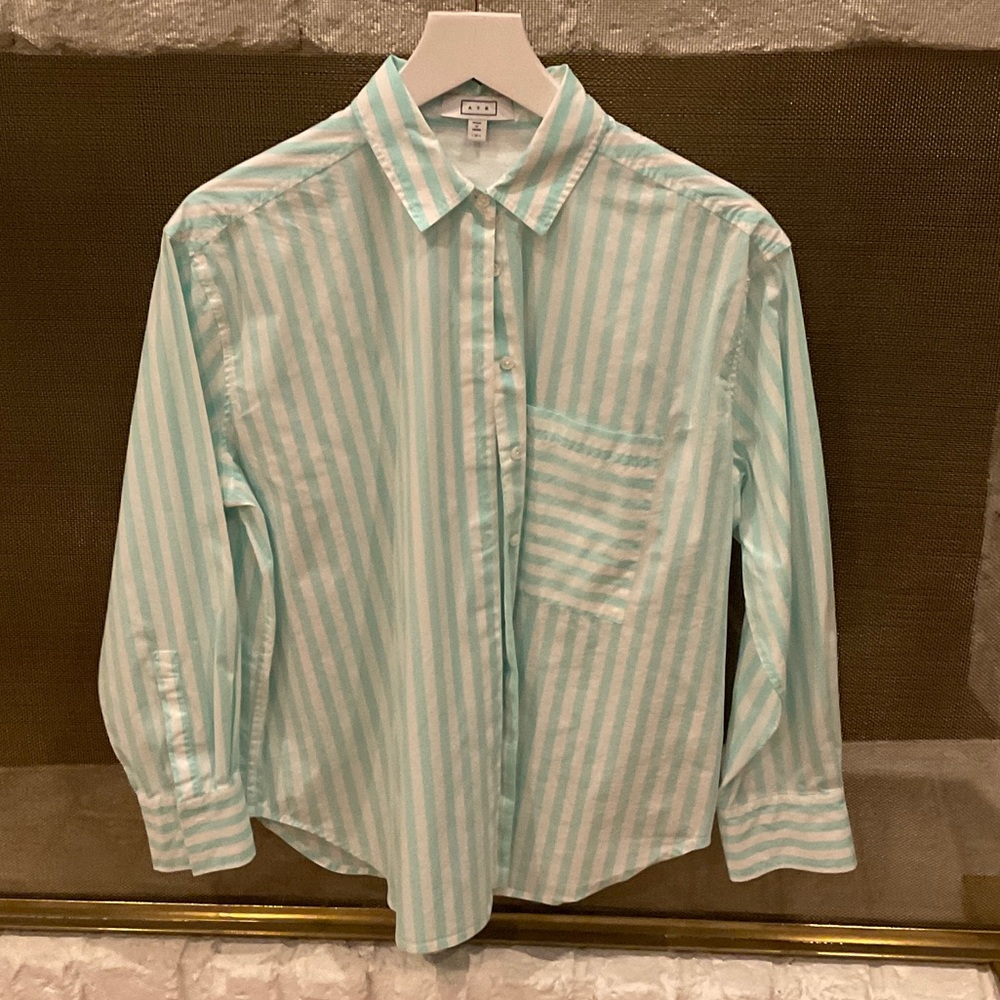 AYR “The Deep End” Mint Green Striped Button Down